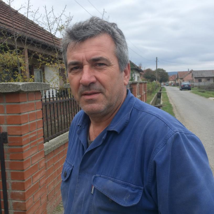 Mihai P.